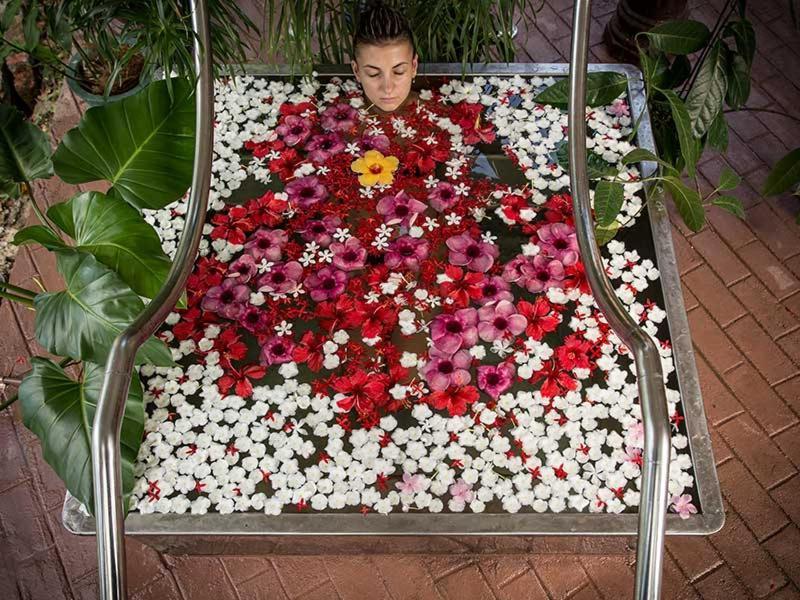Hotel Ayurveda Paradise Maho à Yapahuwa Extérieur photo