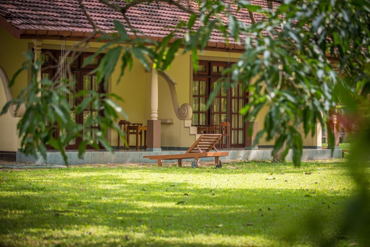 Hotel Ayurveda Paradise Maho à Yapahuwa Extérieur photo